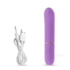 Fast Orgasm Mini Rabbit Bullet Vibrator for Women 10 Speed Clitoris Stimulator Rechargeable Masturbation Sex Toy for Adult Goods