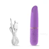 Fast Orgasm Mini Rabbit Bullet Vibrator for Women 10 Speed Clitoris Stimulator Rechargeable Masturbation Sex Toy for Adult Goods