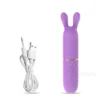 Fast Orgasm Mini Rabbit Bullet Vibrator for Women 10 Speed Clitoris Stimulator Rechargeable Masturbation Sex Toy for Adult Goods